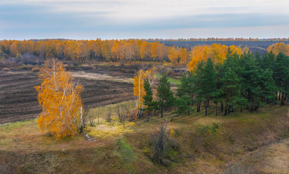 Similar image 21441112