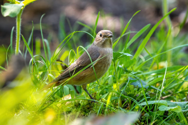 Similar image 21441120