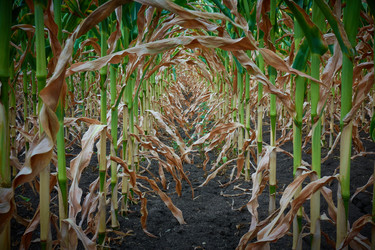 Similar image 21442054