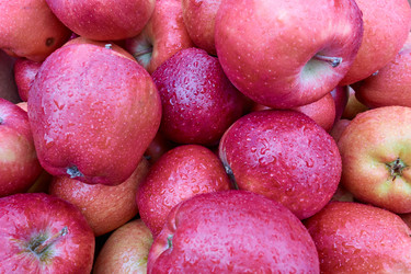 Similar image 21440113