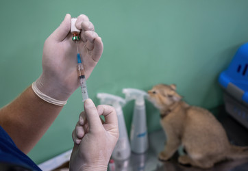 Similar image 21441273