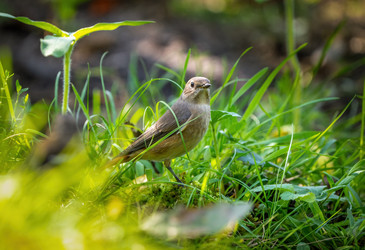 Similar image 21441275