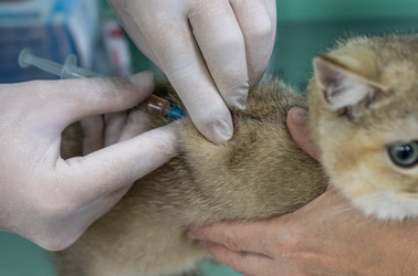 Similar image 21441276