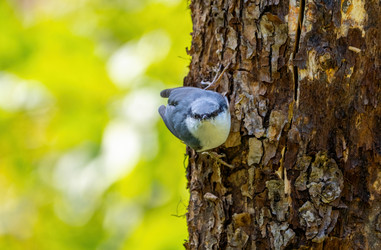 Similar image 21441279