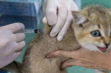 Similar image 21441280