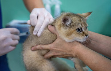 Similar image 21441281