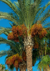 Similar image 21441286