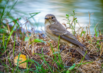 Similar image 21441289