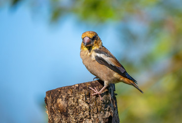 Similar image 21441293