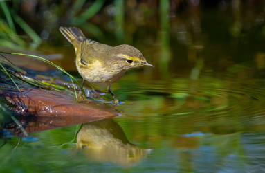 Similar image 21441295