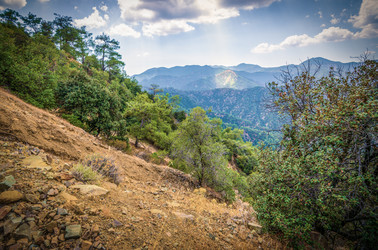 Similar image 21441296