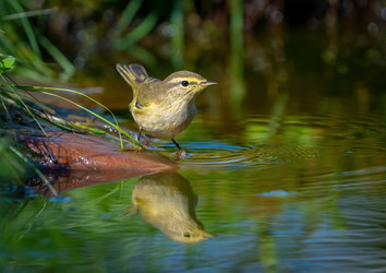 Similar image 21441297