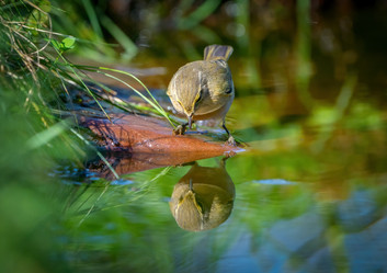 Similar image 21441301