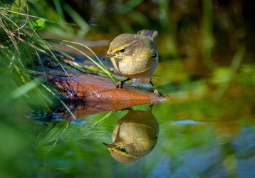 Similar image 21441303