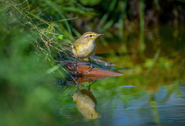 Similar image 21441466