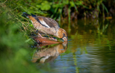 Similar image 21441469