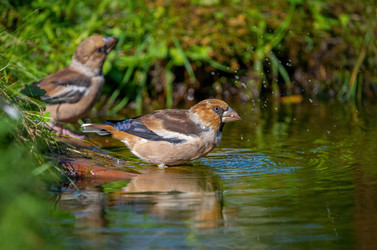 Similar image 21441470