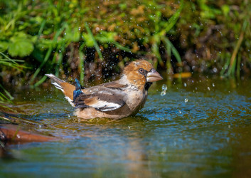 Similar image 21441474