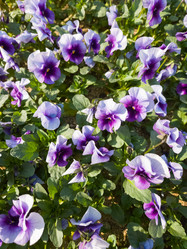 Similar image 21437983