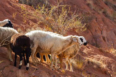 Similar image 21437986