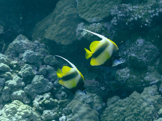 Similar image 21437988