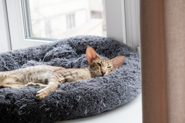 Similar image 21437989