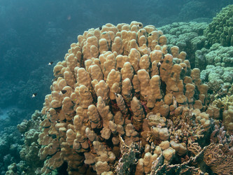 Similar image 21437991