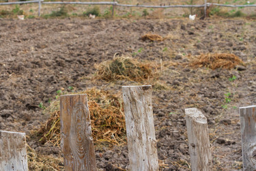 Similar image 21437993