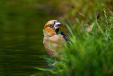 Similar image 21441478