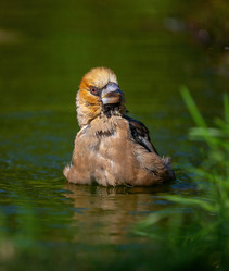 Similar image 21441486