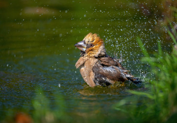 Similar image 21441490