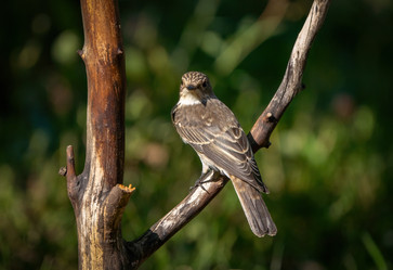 Similar image 21441492