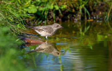 Similar image 21441717