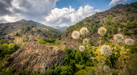 Similar image 21441718