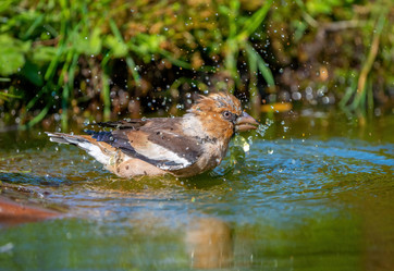 Similar image 21441719