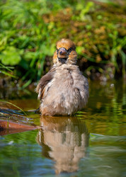 Similar image 21441723