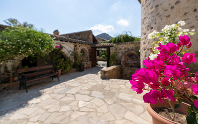 Similar image 21441725