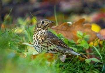 Similar image 21441734