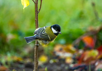 Similar image 21441738