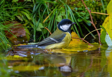 Similar image 21441885