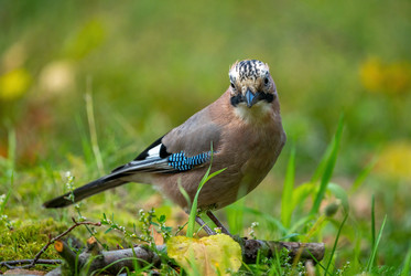 Similar image 21441888