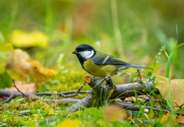 Similar image 21441892