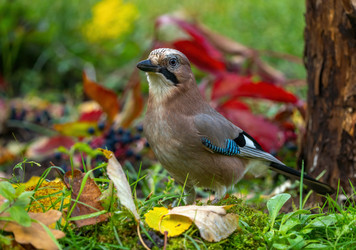 Similar image 21441893