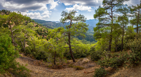 Similar image 21441900