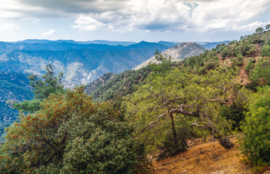 Similar image 21441907