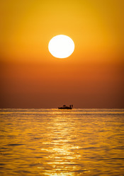 Similar image 21441909