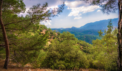 Similar image 21442367