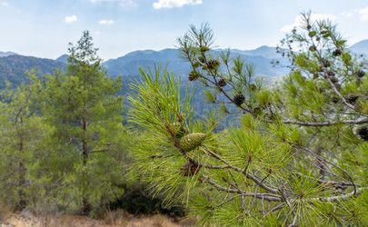 Similar image 21442370