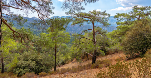 Similar image 21442371