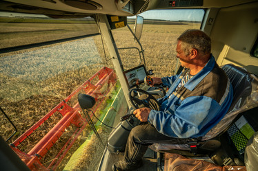 Similar image 21442374